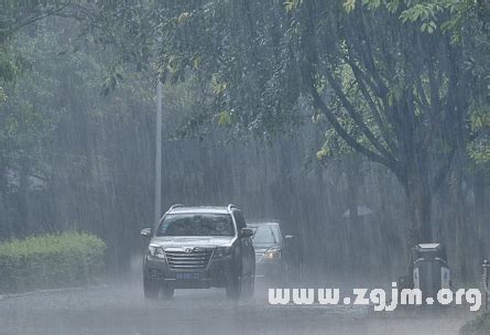 夢見落大雨|夢見雨/夢到雨